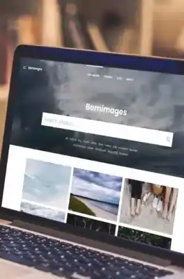 <strong>End-to-End Solutions </strong><br/>From hosting and domain registration to ongoing support, we've got you covered every step of the way.